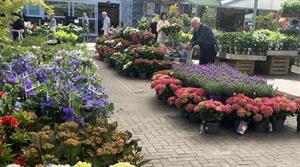 Garden centre plants